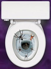 Sticker Abattant Pour Toilette